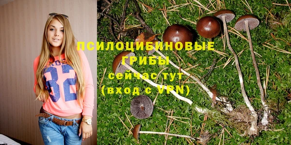 амфетамин Туринск
