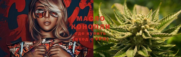 соль ск Тында